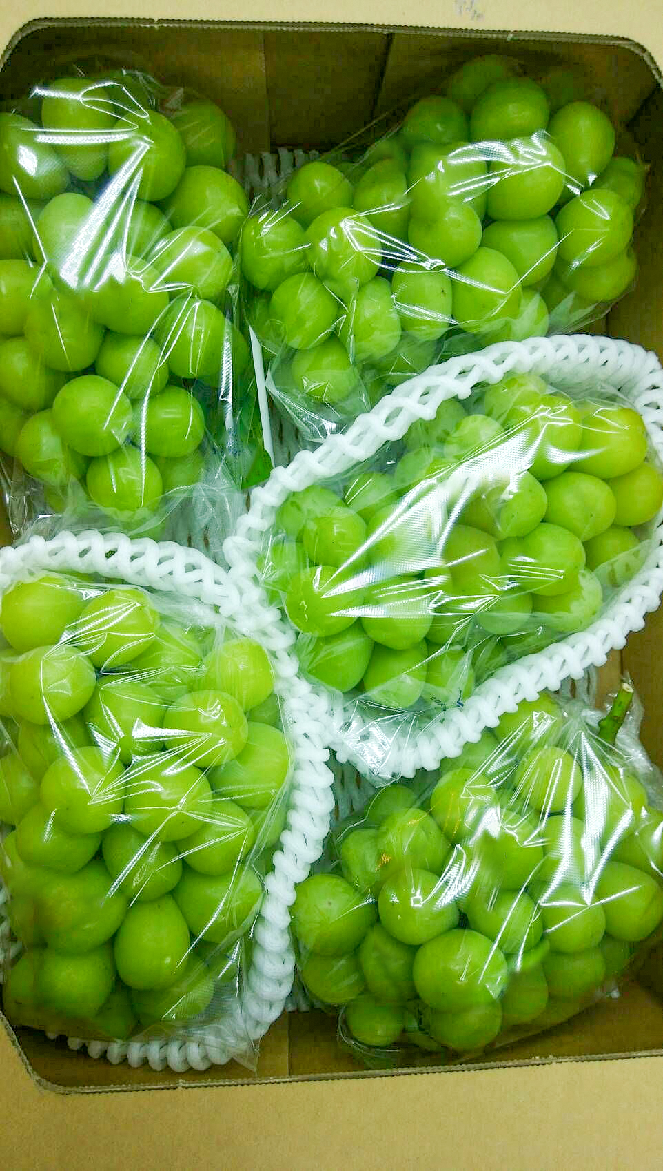 抗雾添加剂防止塑料食品包装中的雾气